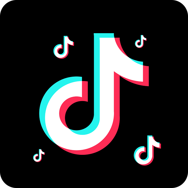 Tiktok Profile Link